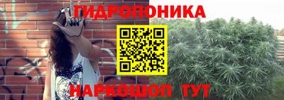 дмт Апшеронск