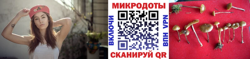 Псилоцибиновые грибы GOLDEN TEACHER  blacksprut ССЫЛКА  Батайск 