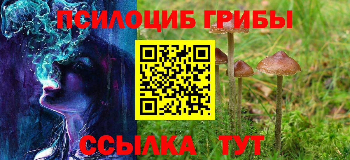Псилоцибиновые грибы Psilocybine cubensis  Вход с VPN  Батайск 