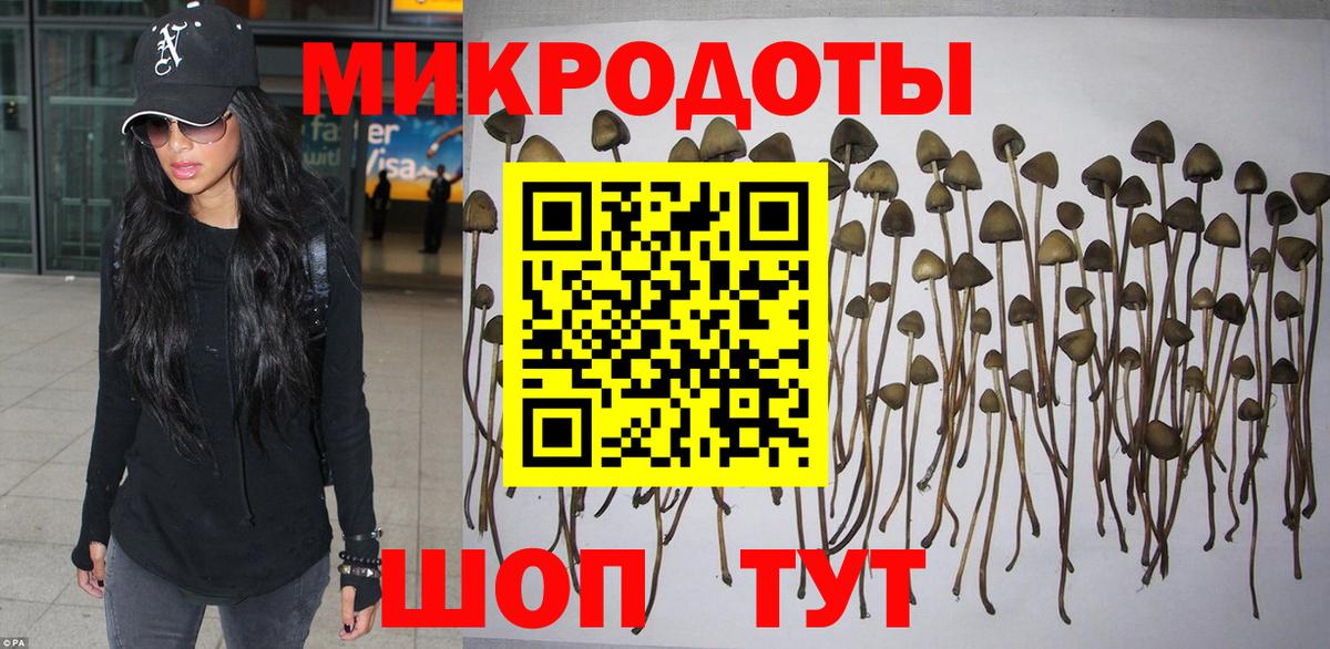 Галлюциногенные грибы Magic Shrooms Батайск